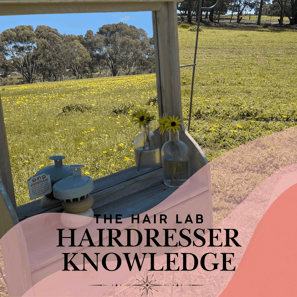 What Is a Shampoo Bar? A Hairdresser's Complete Guide 1 Hairdresser knowledge