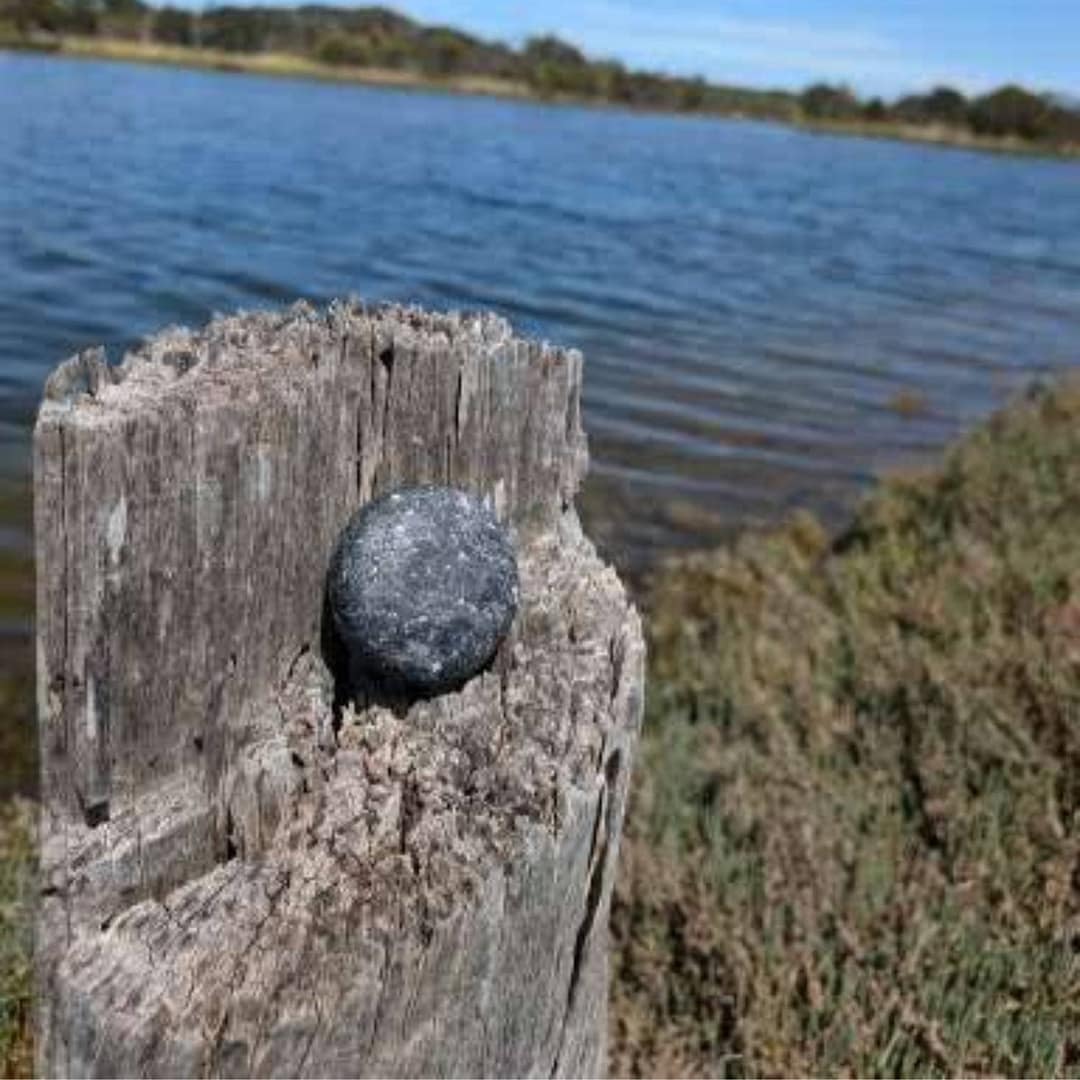Plastic-Free Bamboo Charcoal Detox Shampoo Bar 4 charcoal shampoo bar plastic free haircare australia eco shampoo bar