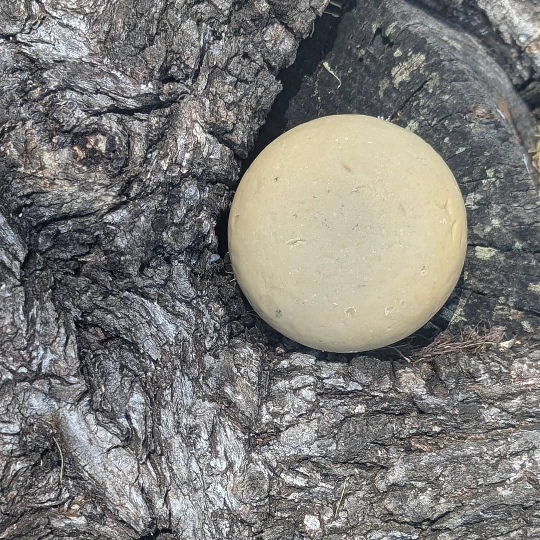 Hydration Shampoo Bar – Cedar Oil & Shea Butter for Dry Hair 5 hydration shampoo bar texture shea butter natural haircare bar close up