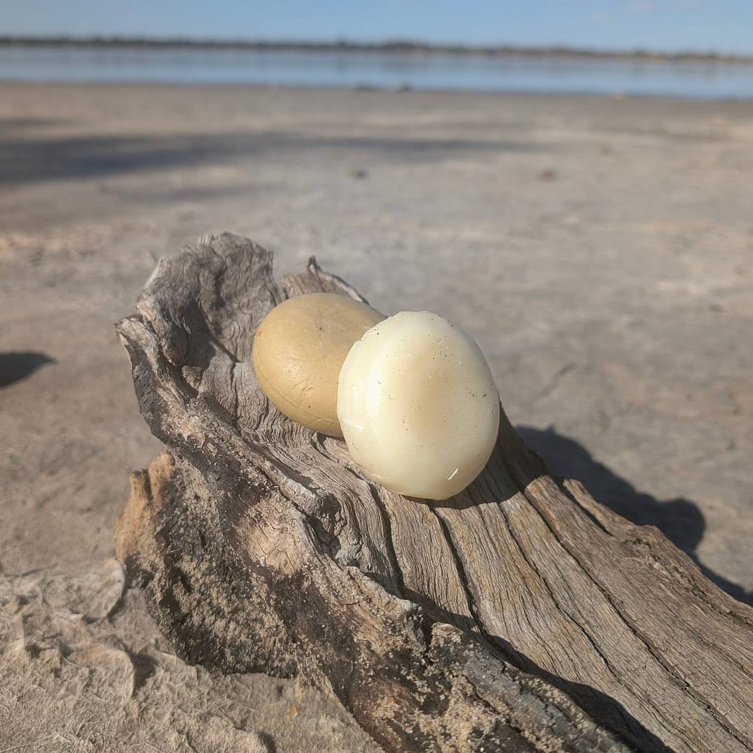Hydration Haircare Bar Duo – Plastic-Free, Nourishing Shampoo & Conditioner Set 1 plastic free shampoo bars and scalp brush on rustic wood by the ocean