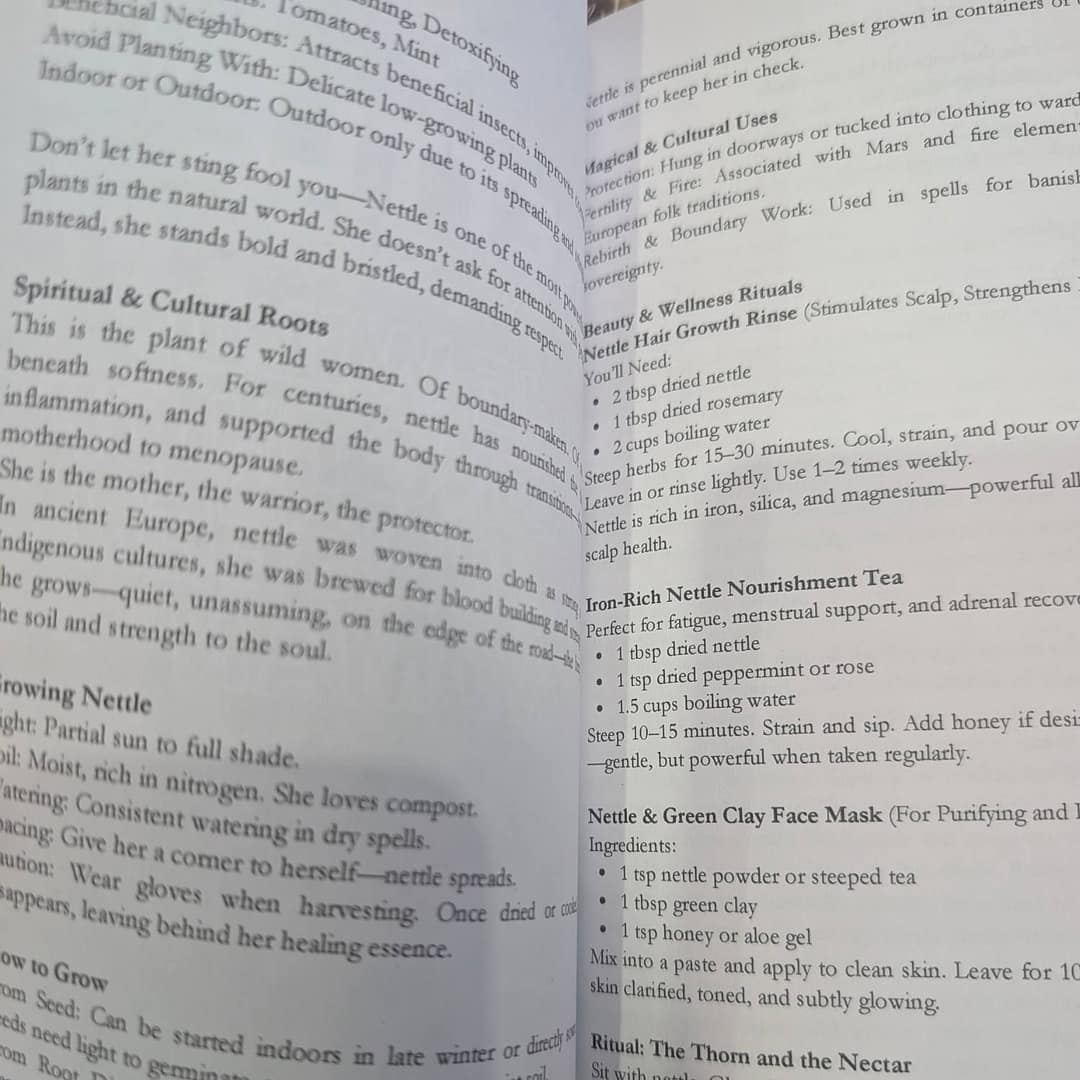 Soil to Roots Ancient Plant Wisdom & DIY Beauty Rituals 2 open pages of Soil to Roots book showing natural hair care and herbal recipes