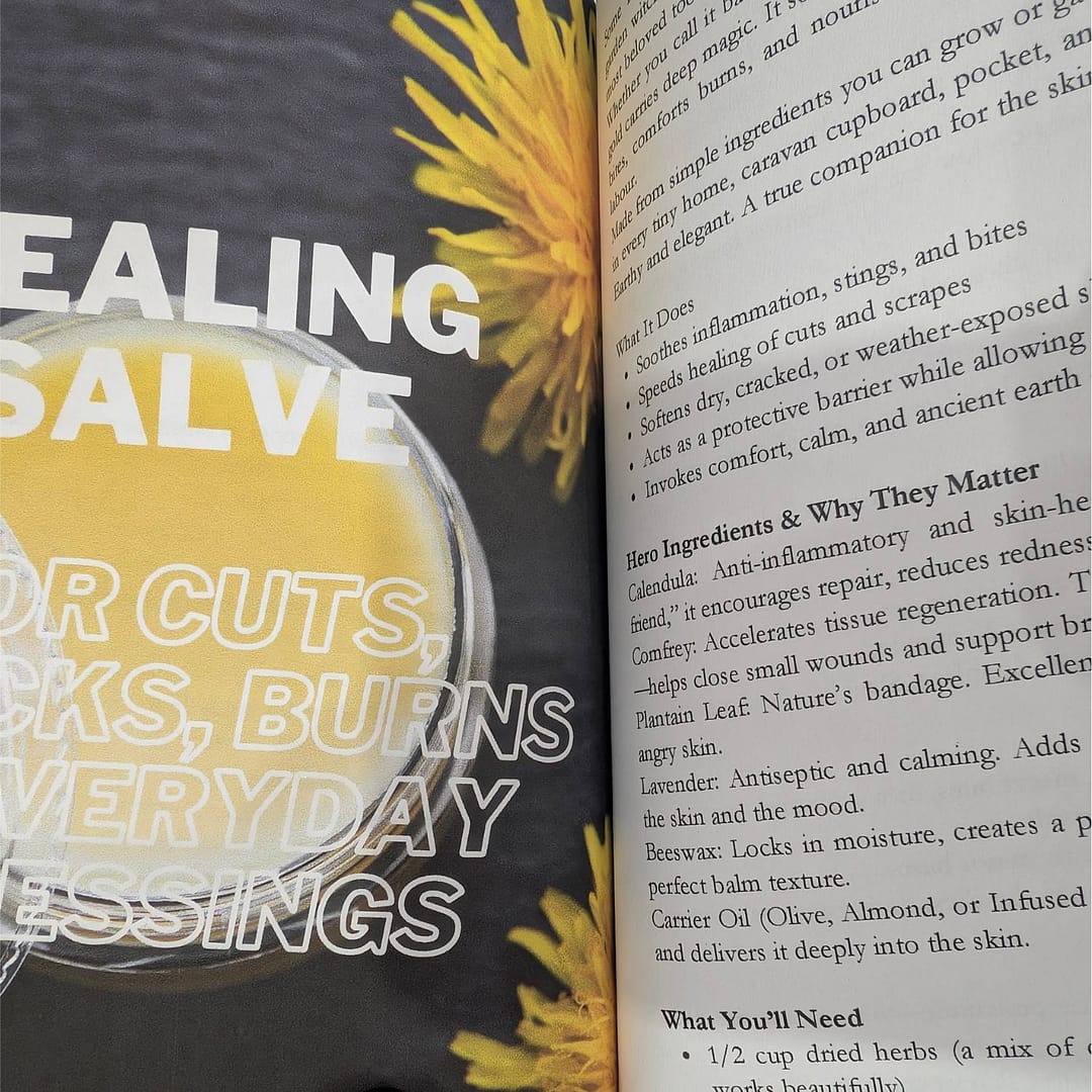 Soil to Roots Ancient Plant Wisdom & DIY Beauty Rituals 3 natural healing salve recipe from Soil to Roots book DIY herbal beauty